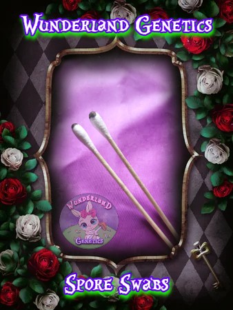 Gumby Research Spore Swab Set